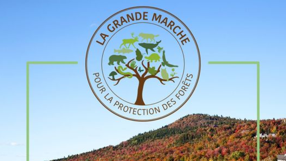 Grand rassemblement de Val-David pour la marche pour la protection des forêts