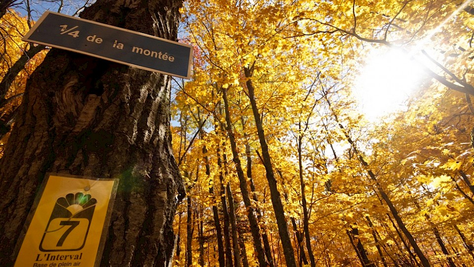 Aire-protégée Mont-Kaaikop : bilan d'un été chargé