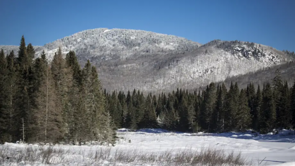 Communiqué de presse : Québec compte mettre en réserve le territoire du mont Kaaikop