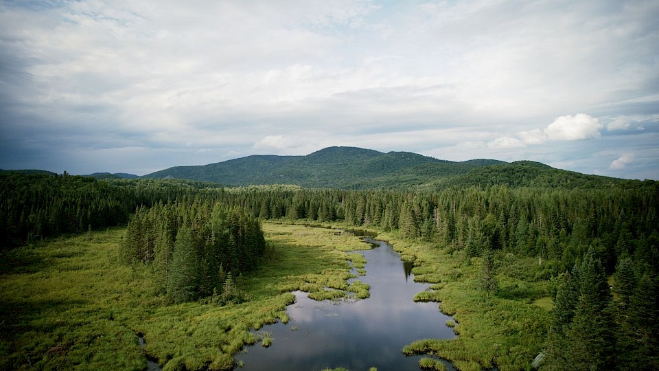 Reportage télé de Radio Canada concernant la mise en réserve des territoires de l'Aire protégée Mont-Kaaikop